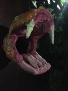 Amazon Snake